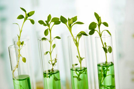 Biotechnology